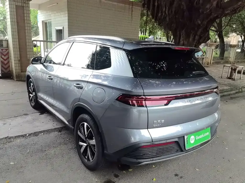 BYD Pro New Energy — фото 5
