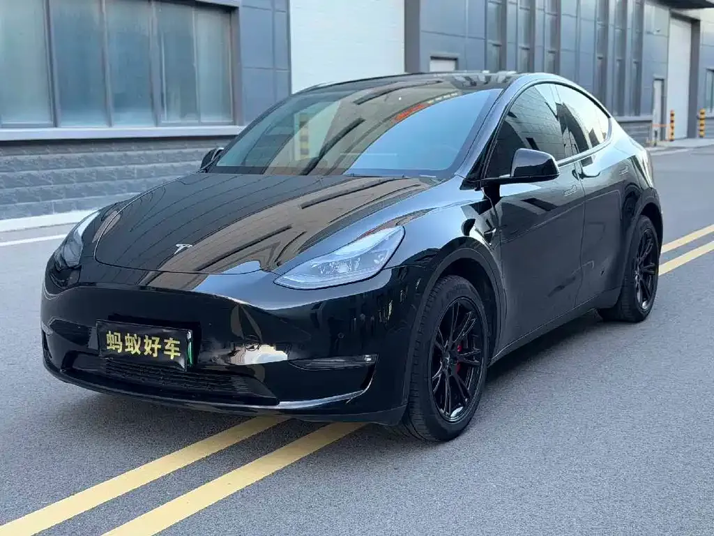 Tesla Model Y — фото 1