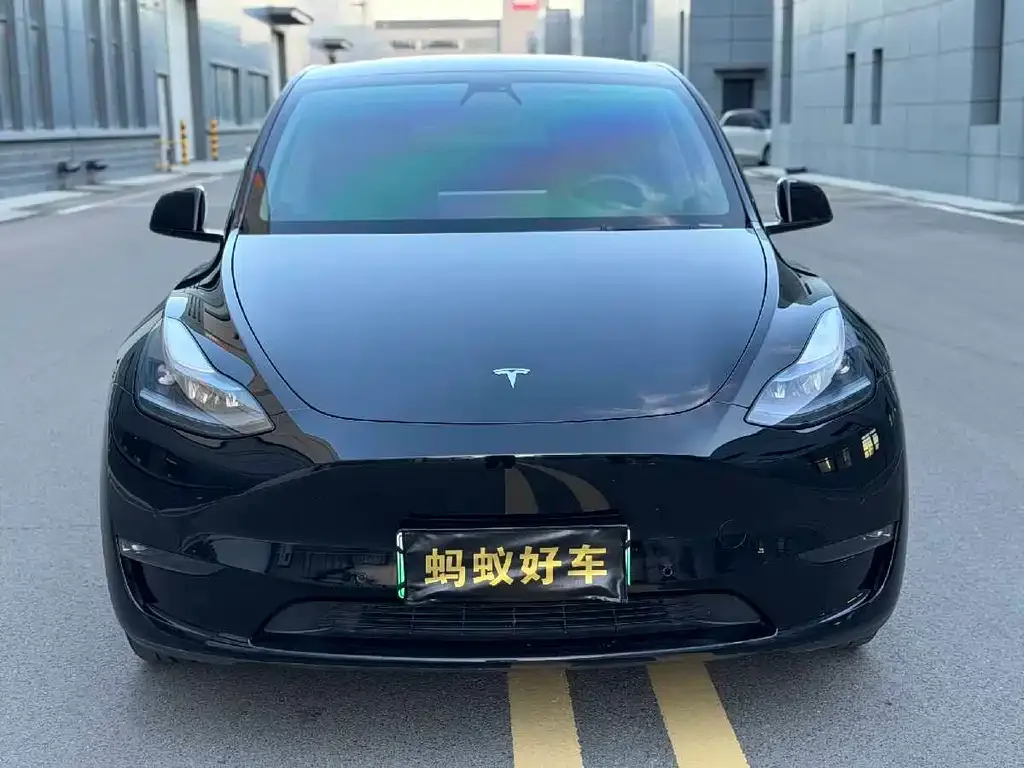 Tesla Model Y — фото 2