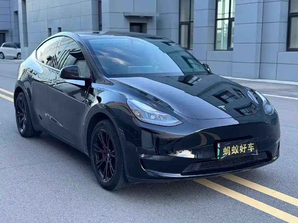 Tesla Model Y — фото 6