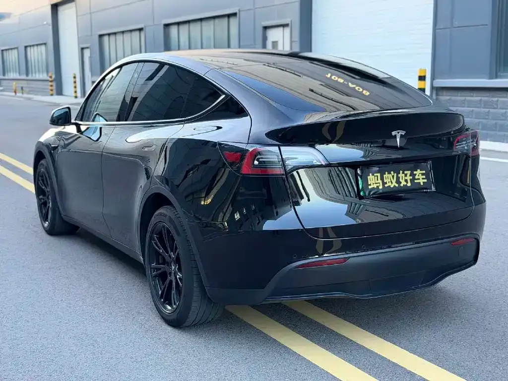 Tesla Model Y — фото 10