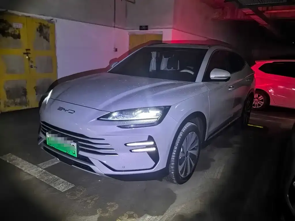 BYD PLUS New Energy — фото 1