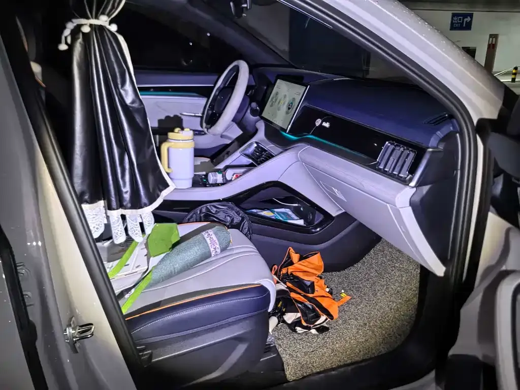 BYD PLUS New Energy — фото 10