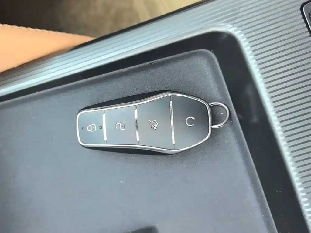 BYD L DM-i — фото 6