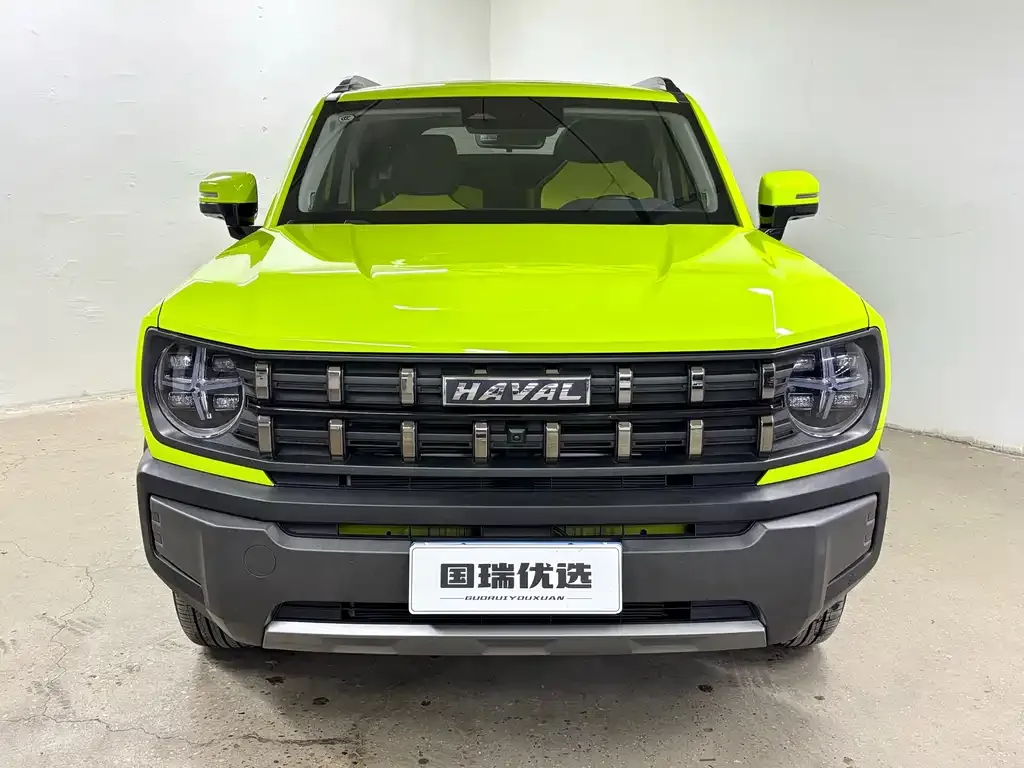 Haval Cool Dog — фото 3