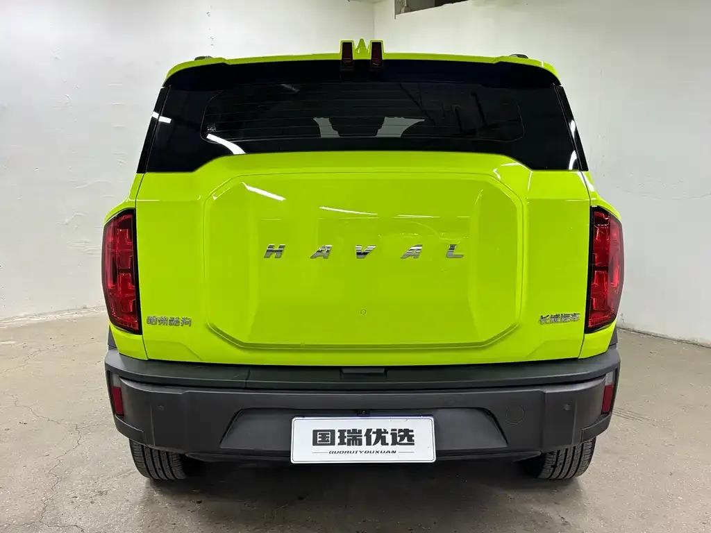 Haval Cool Dog — фото 8