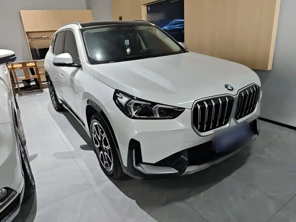 BMW X1 — фото 9