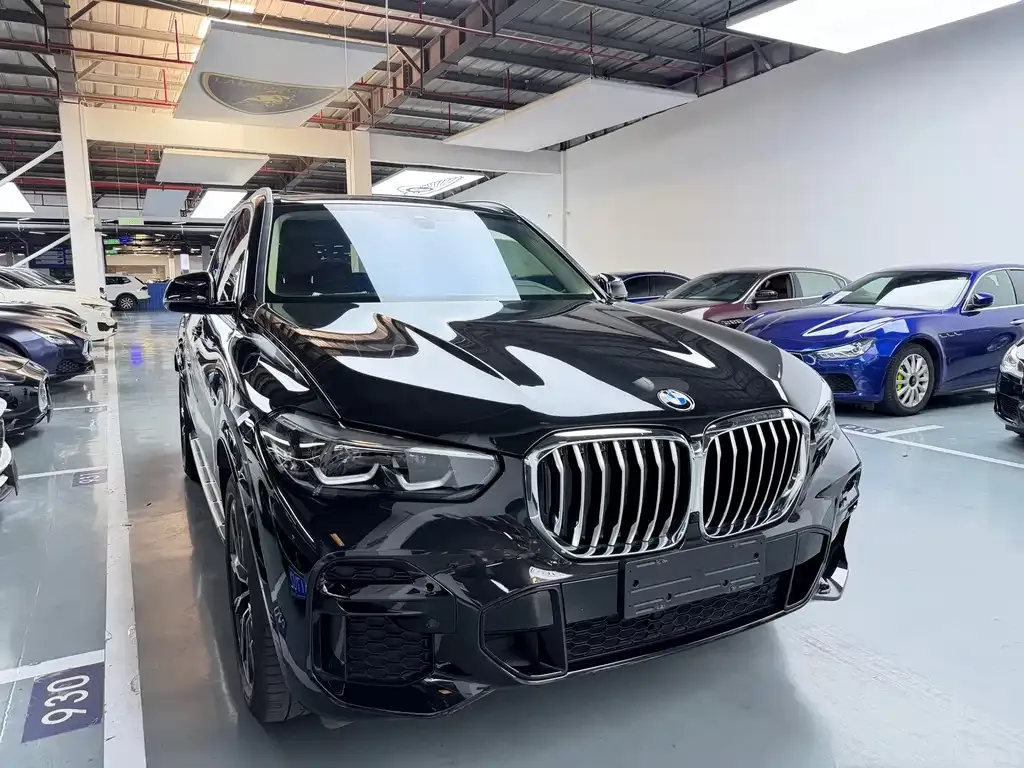 BMW X5 (Import) — фото 8