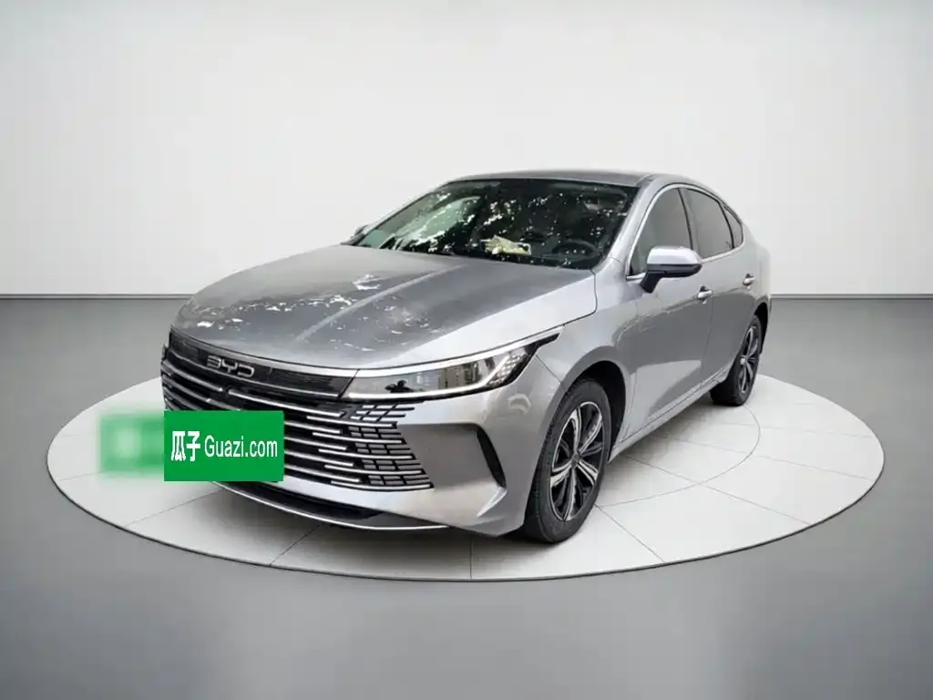 BYD Destroyer 05 — фото 1