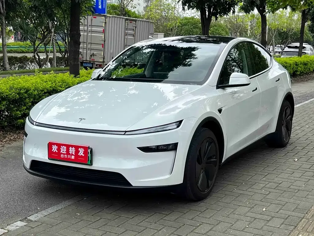 Tesla Model Y — фото 1