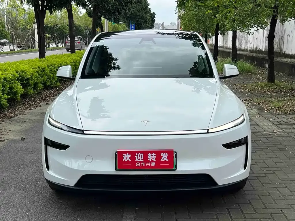 Tesla Model Y — фото 5