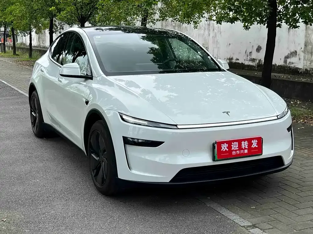 Tesla Model Y — фото 6