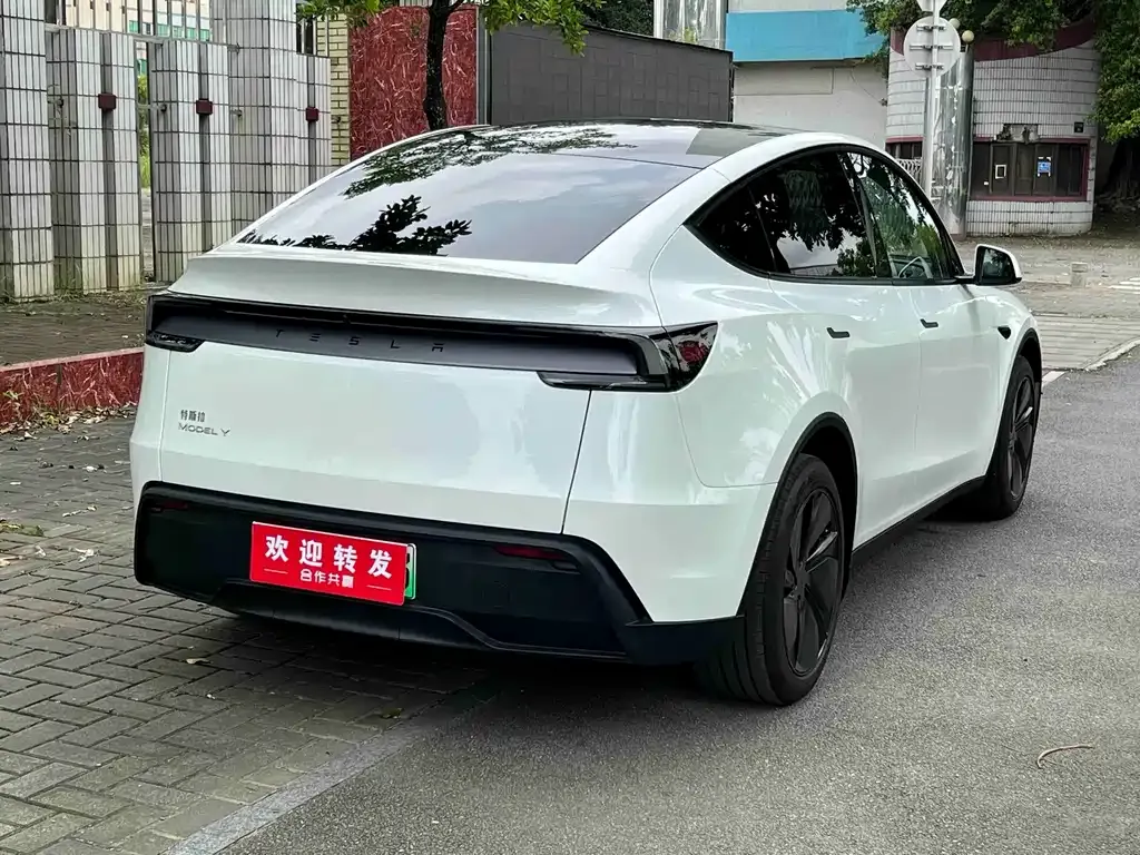 Tesla Model Y — фото 9