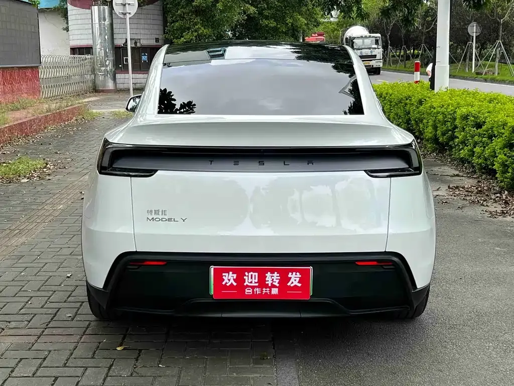 Tesla Model Y — фото 8