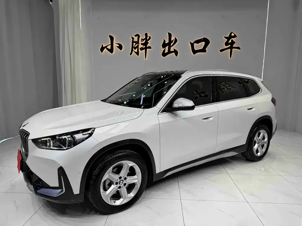 BMW X1 — фото 1