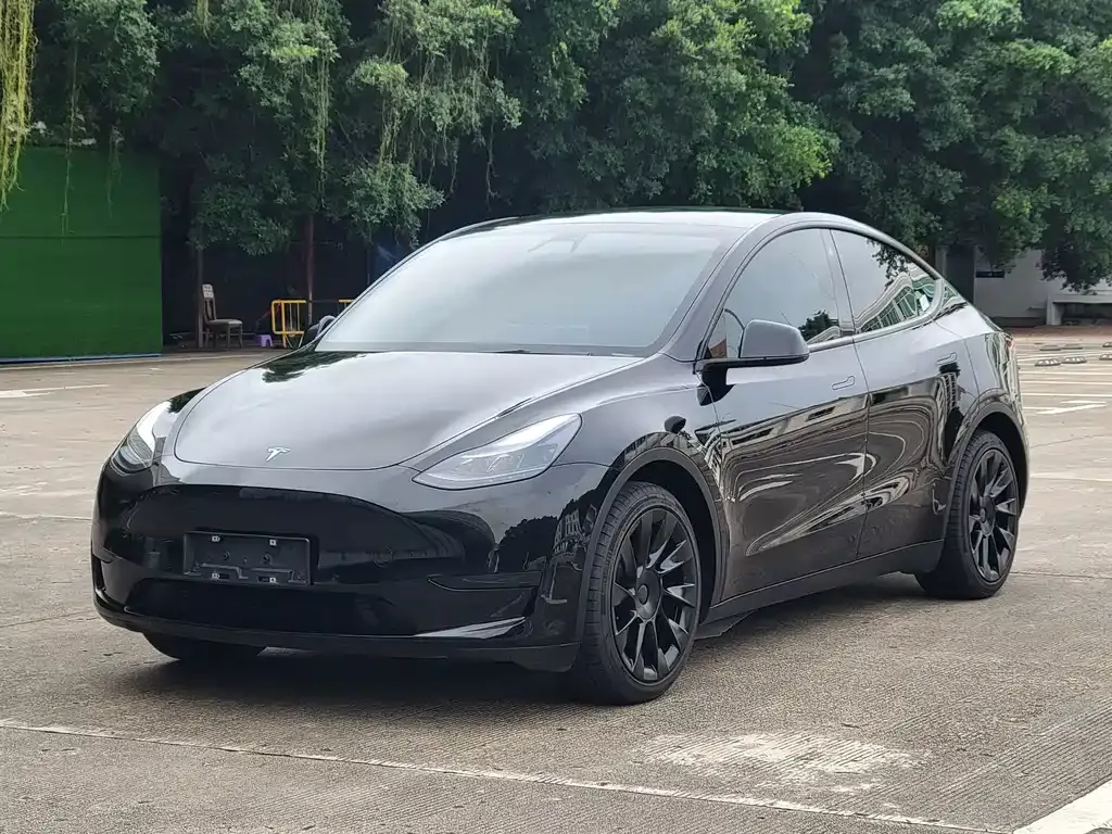Tesla Model Y — фото 1