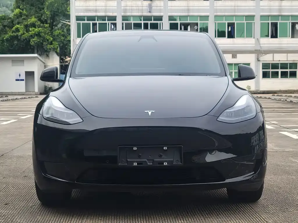 Tesla Model Y — фото 8