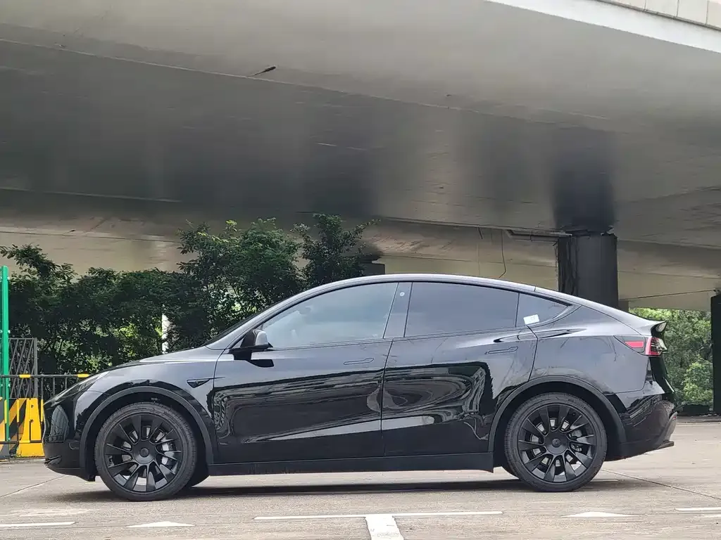 Tesla Model Y — фото 10