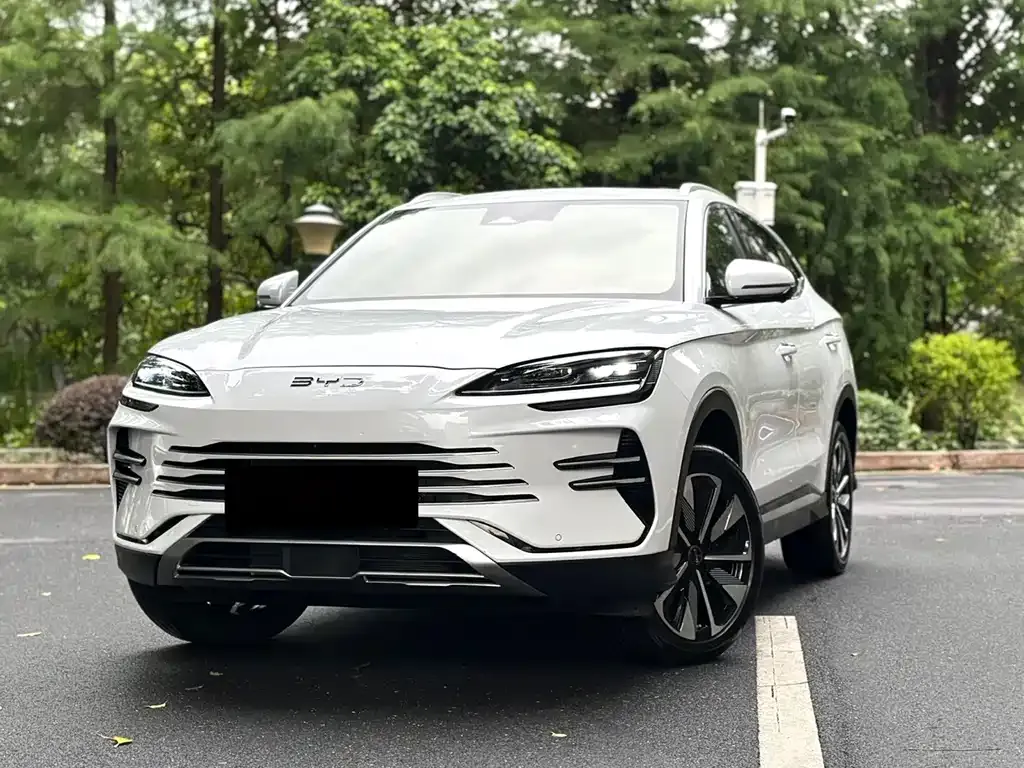 BYD PLUS New Energy — фото 1