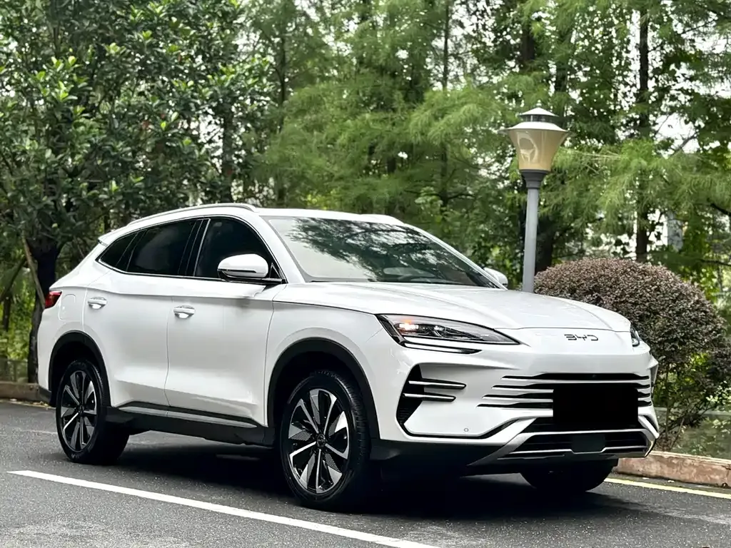 BYD PLUS New Energy — фото 9