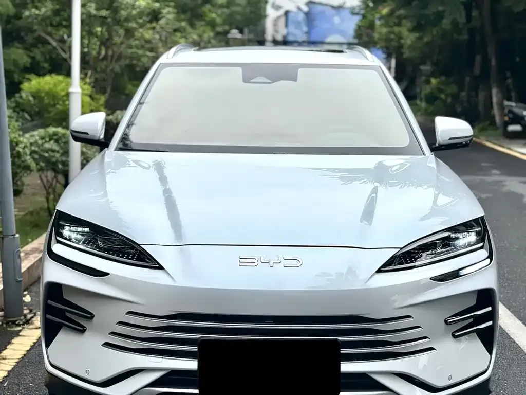 BYD PLUS New Energy — фото 2