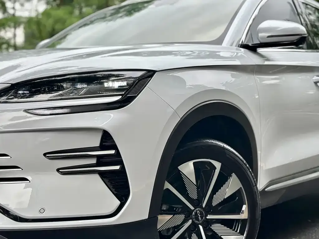 BYD PLUS New Energy — фото 4