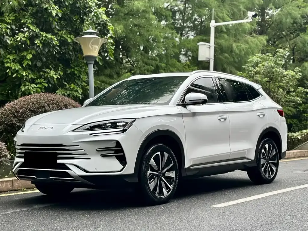 BYD PLUS New Energy — фото 3