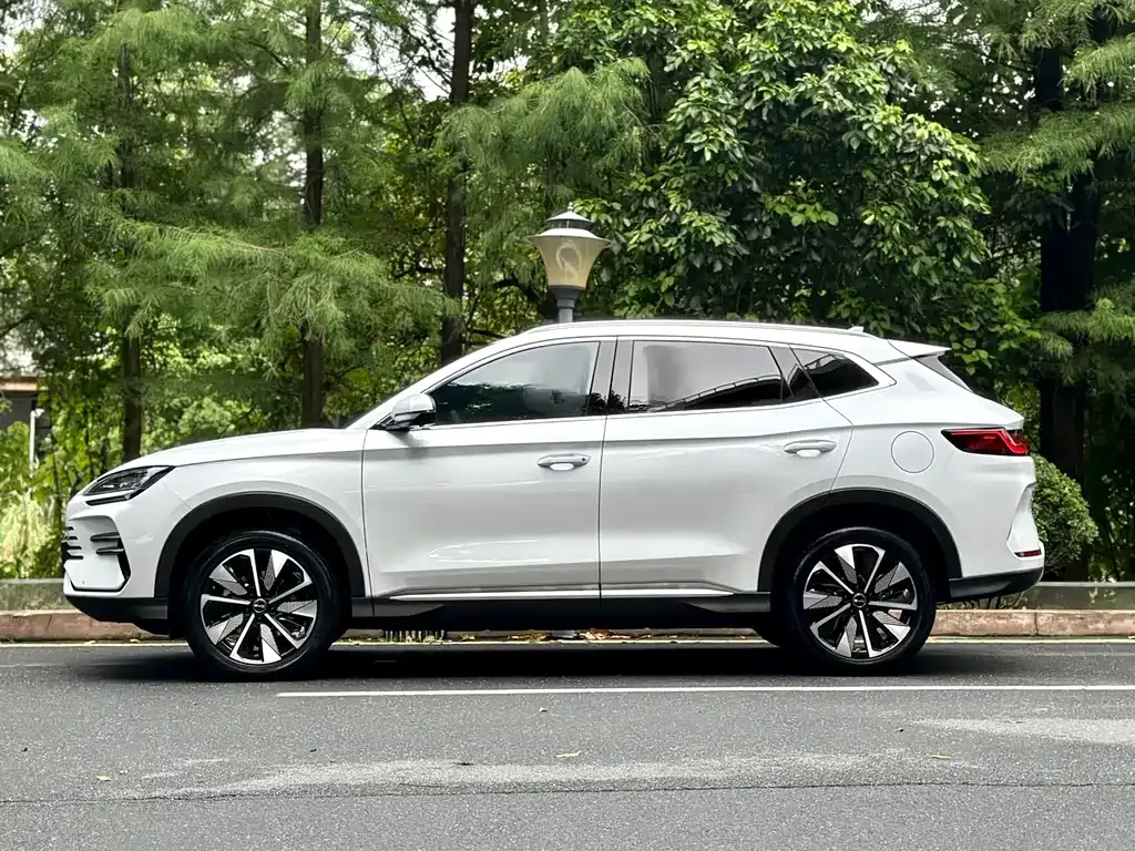 BYD PLUS New Energy — фото 8