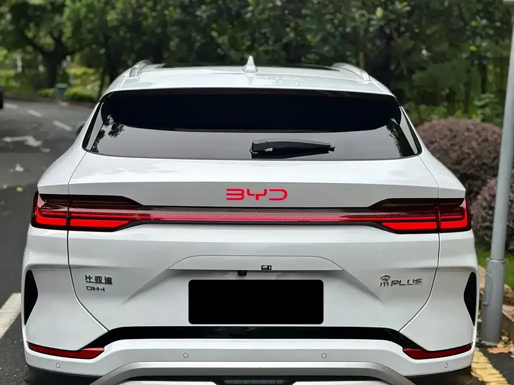 BYD PLUS New Energy — фото 6