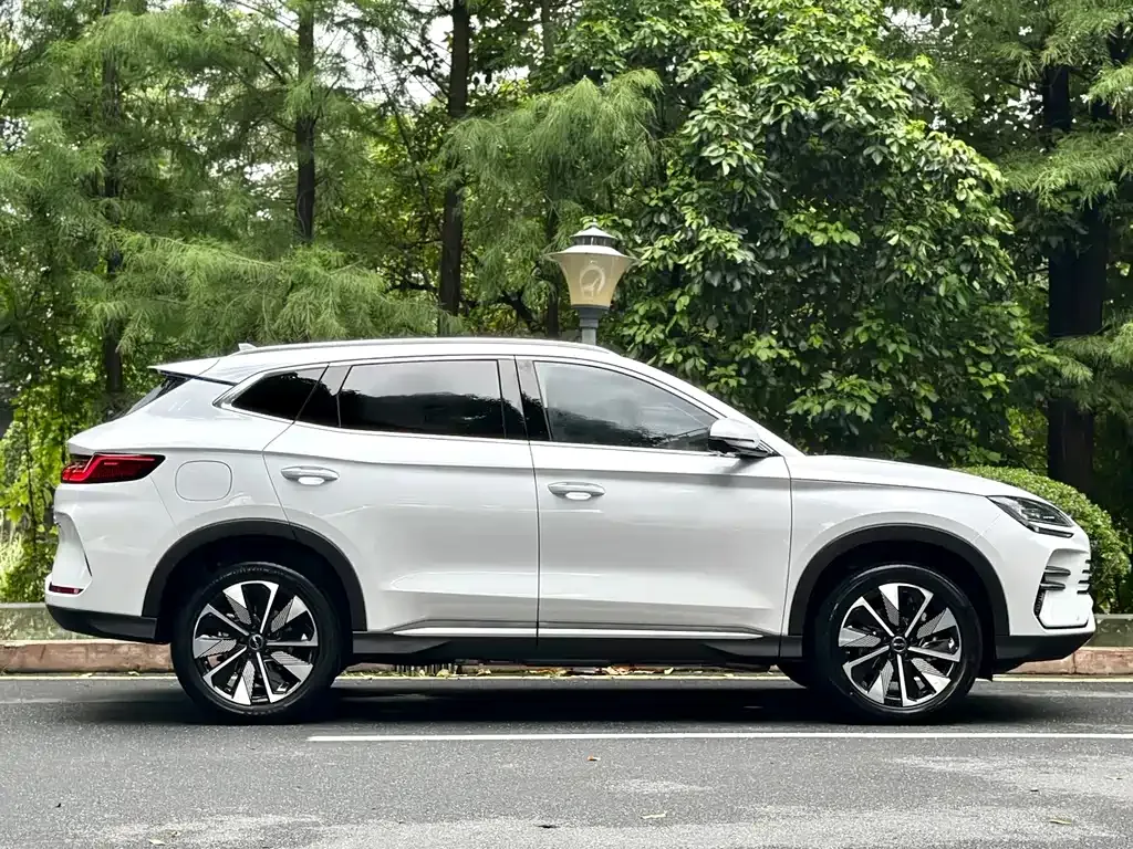BYD PLUS New Energy — фото 10