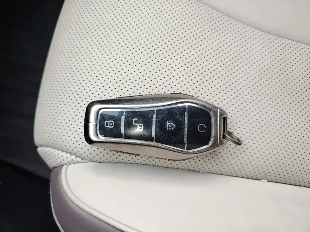 BYD PLUS New Energy — фото 8