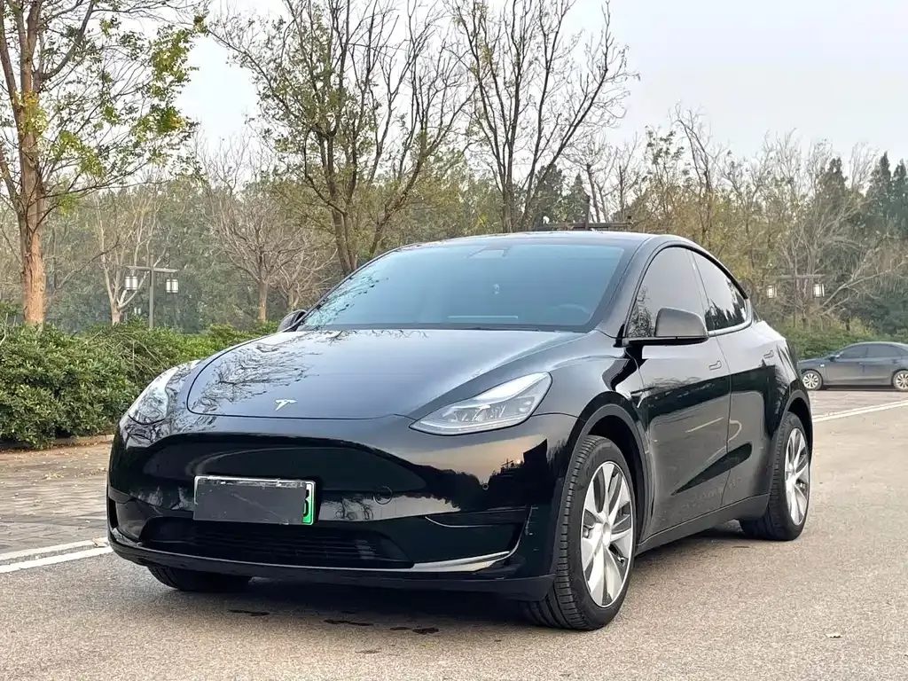 Tesla Model Y — фото 1