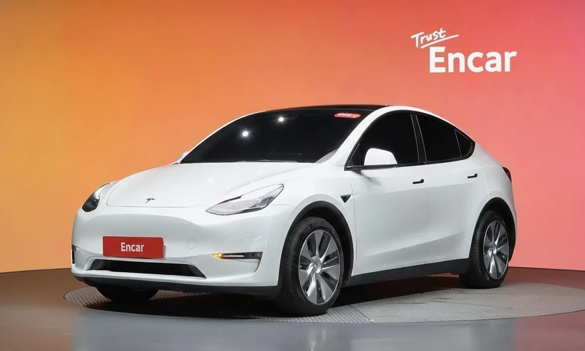 Tesla Model Y — фото 1