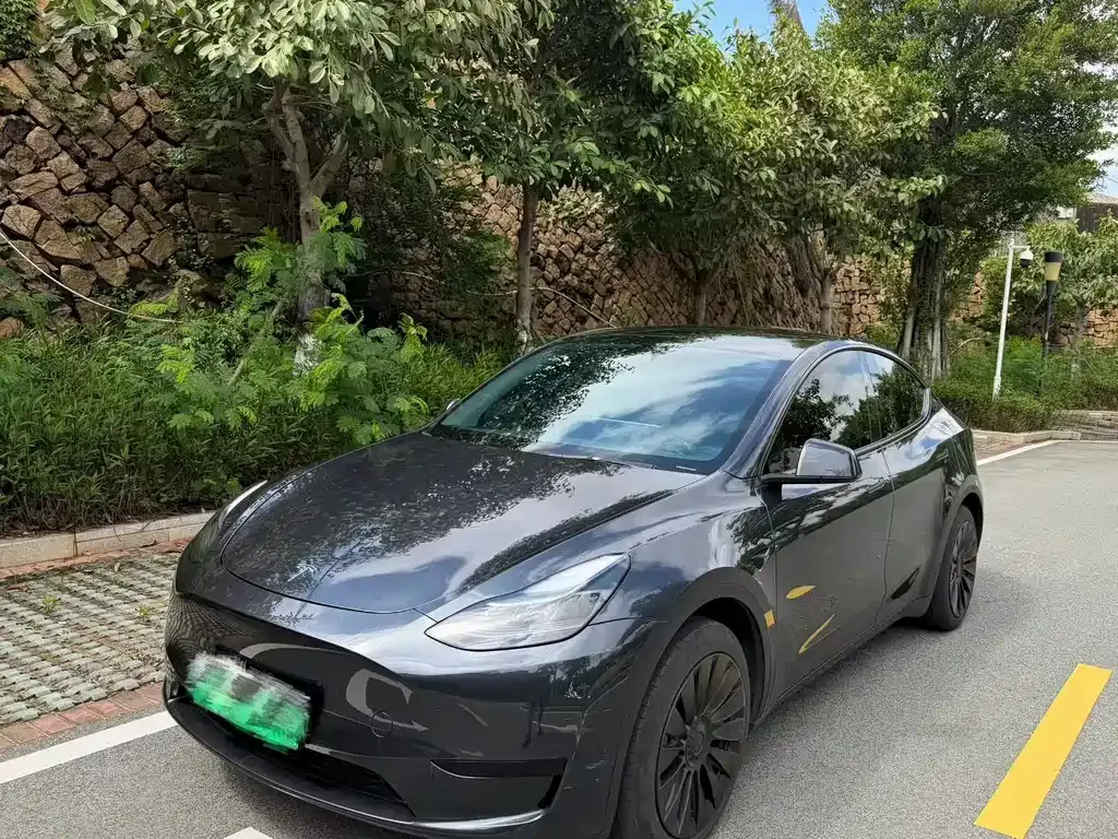 Tesla Model Y — фото 1