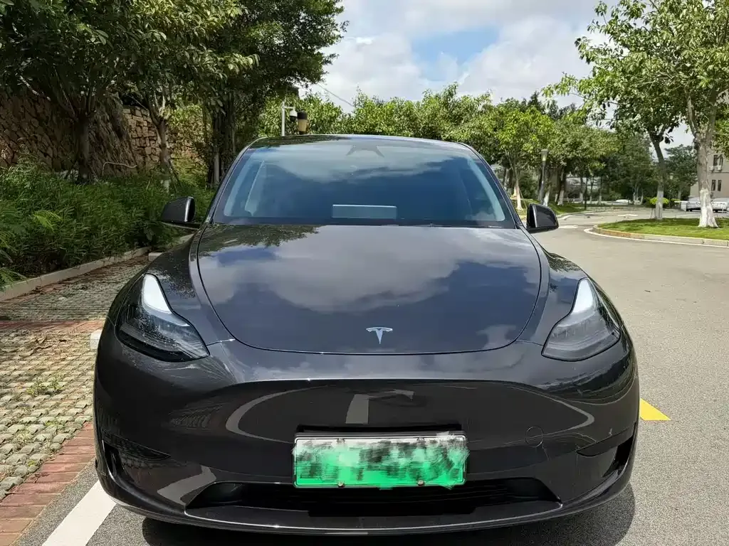 Tesla Model Y — фото 5