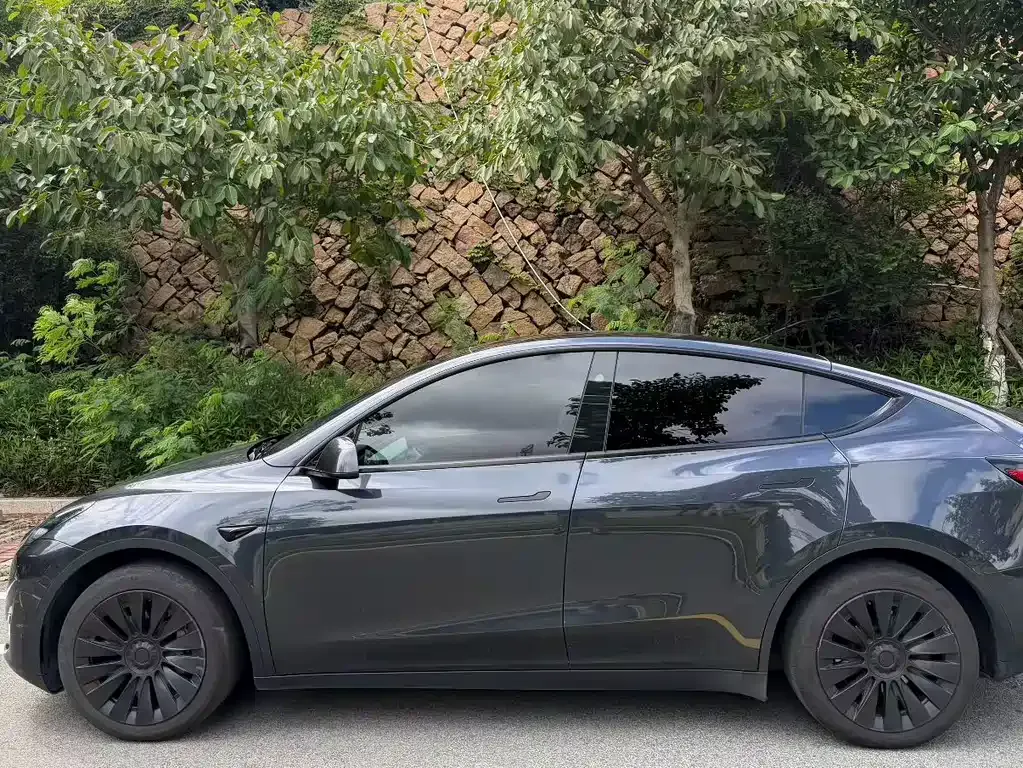 Tesla Model Y — фото 6