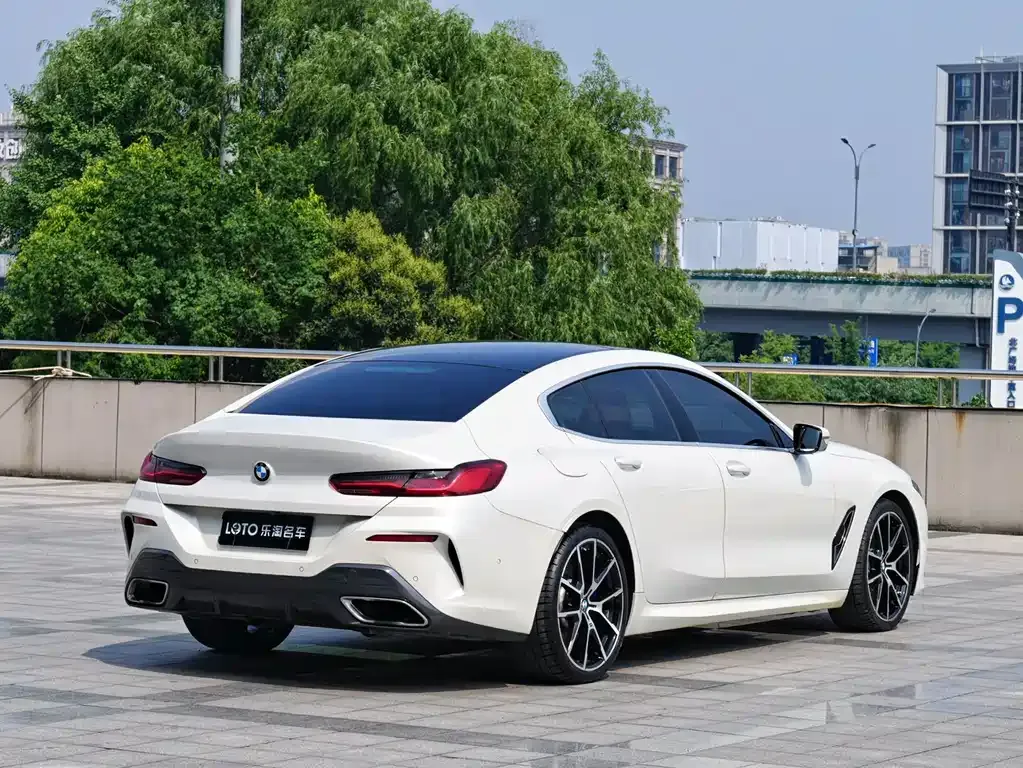 BMW 8 Series — фото 9