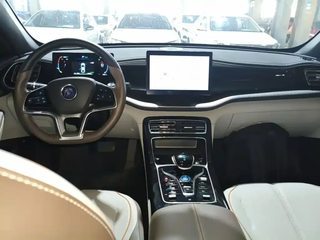 BYD Qin PLUS 2024 из CN, фото 2