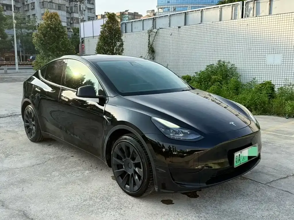 Tesla Model Y — фото 10