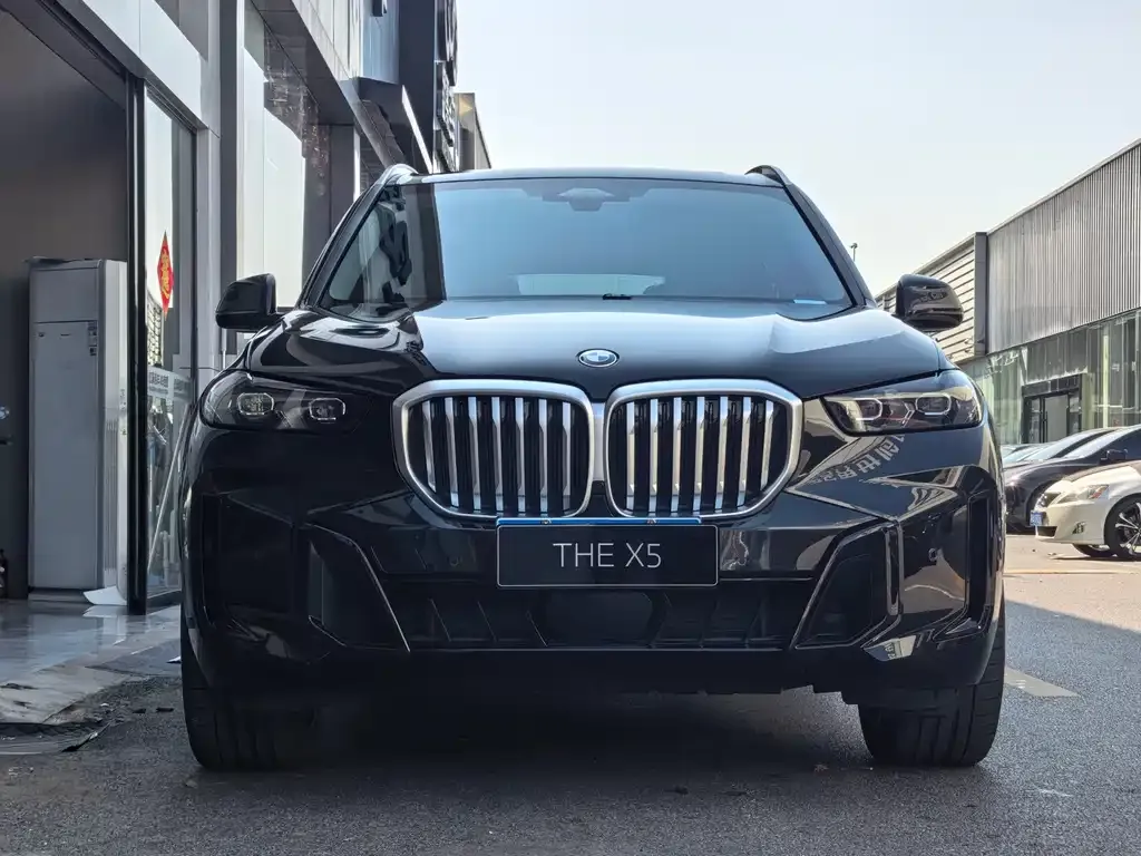 BMW X5 — фото 4