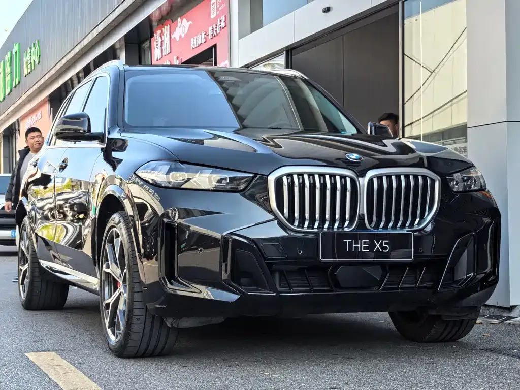 BMW X5 — фото 9