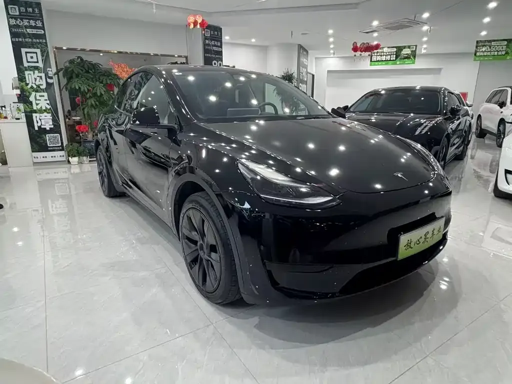 Tesla Model Y — фото 2