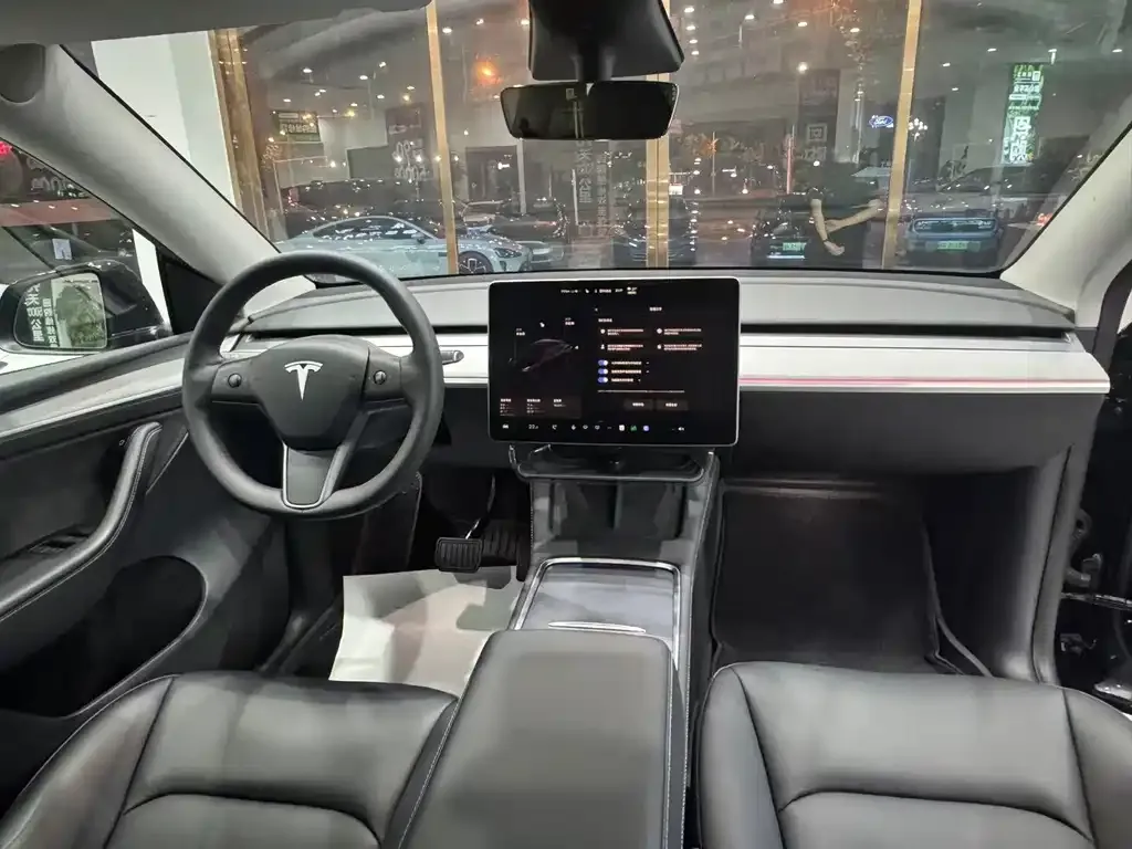 Tesla Model Y — фото 9