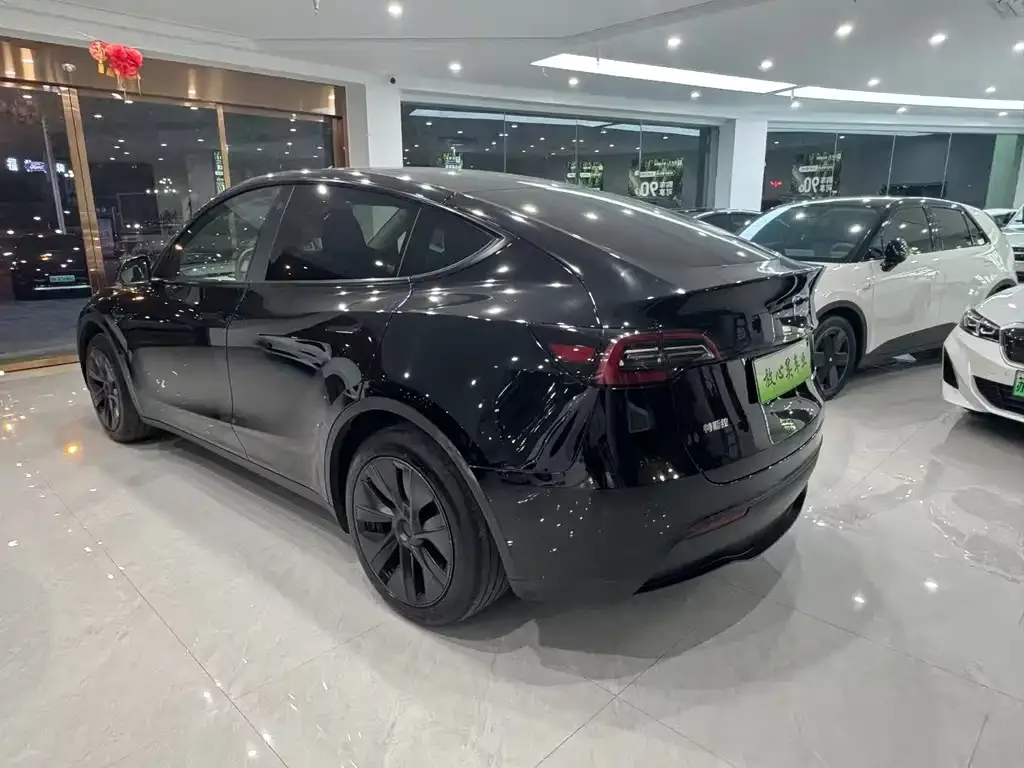 Tesla Model Y — фото 5