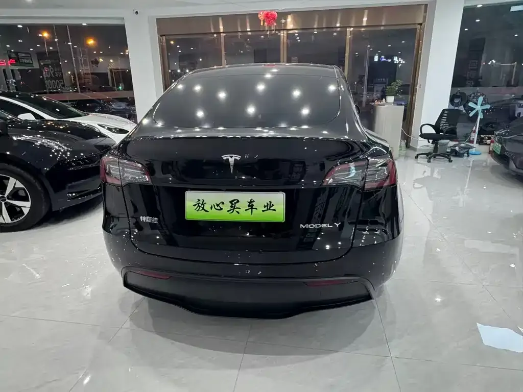 Tesla Model Y — фото 7
