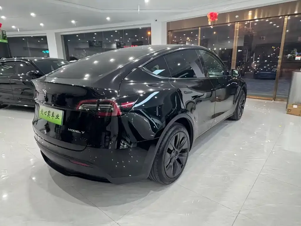 Tesla Model Y — фото 8