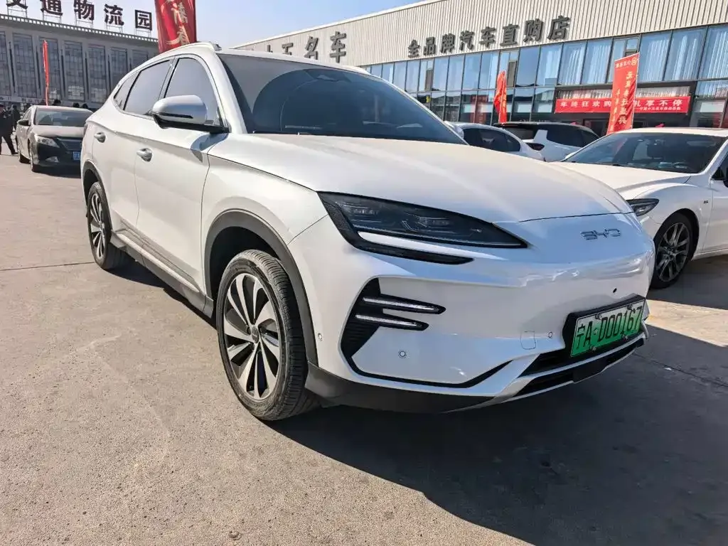 BYD PLUS New Energy — фото 6