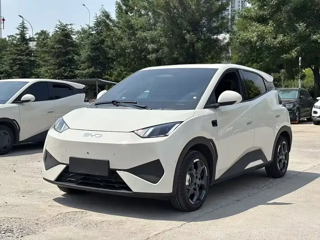BYD Seagull