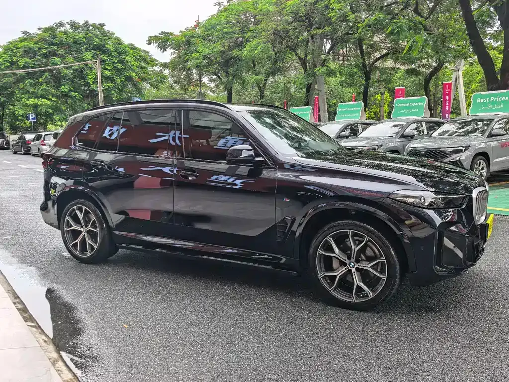 BMW X5 — фото 10