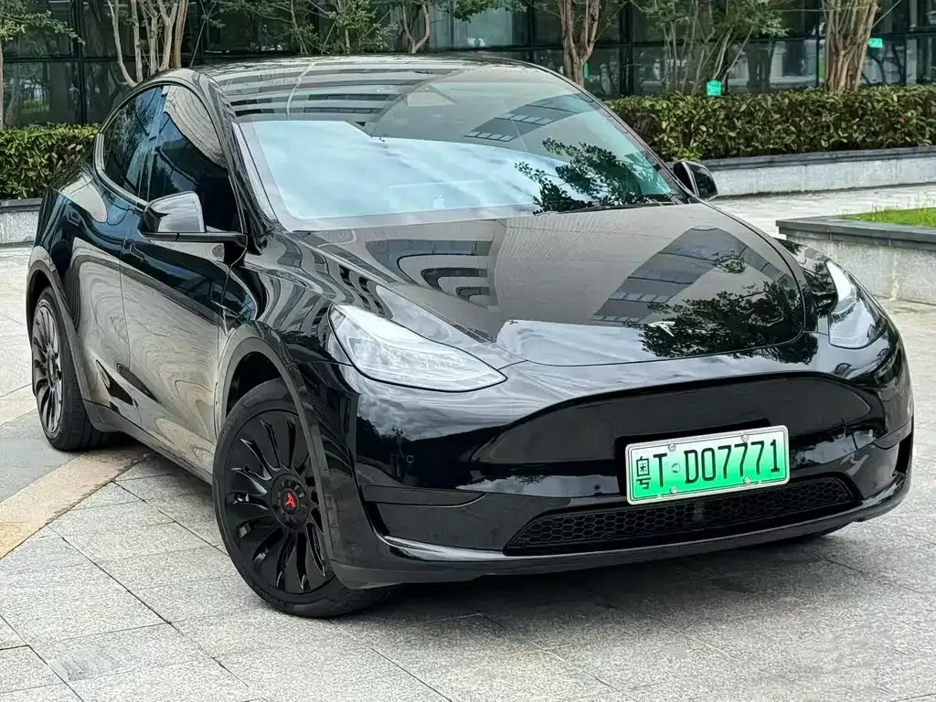 Tesla Model Y — фото 1
